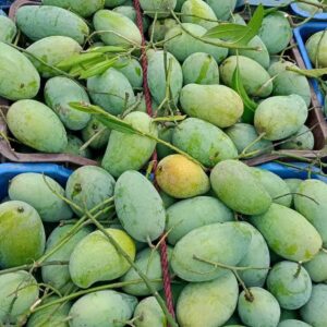 আম্রপালি ২০ কেজি প্যাকেজ